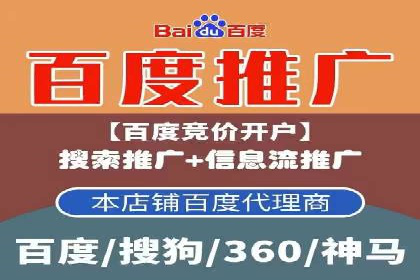 企业SEM托管代运营实战案例